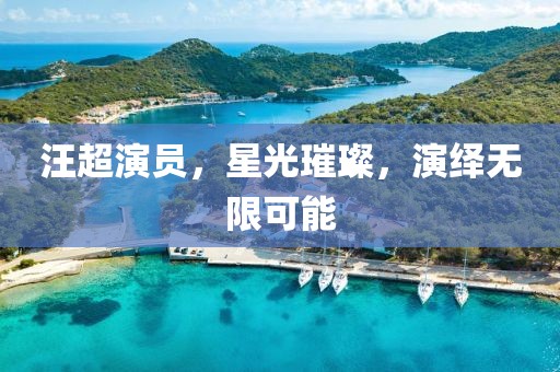 汪超演員，星光璀璨，演繹無限可能