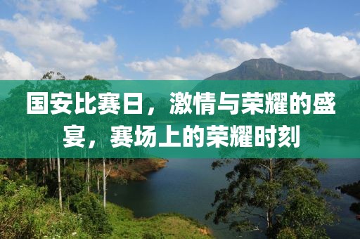 國安比賽日，激情與榮耀的盛宴，賽場上的榮耀時刻