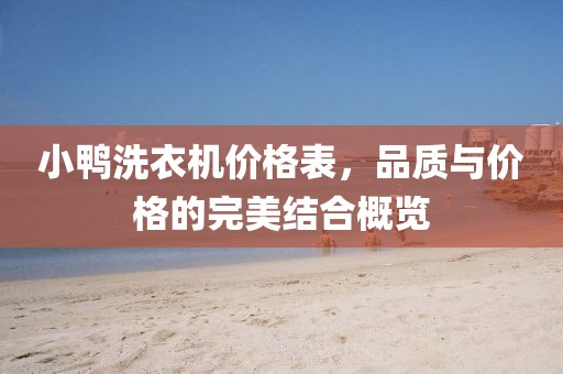 小鴨洗衣機價格表，品質與價格的完美結合概覽