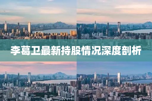 李葛衛(wèi)最新持股情況深度剖析