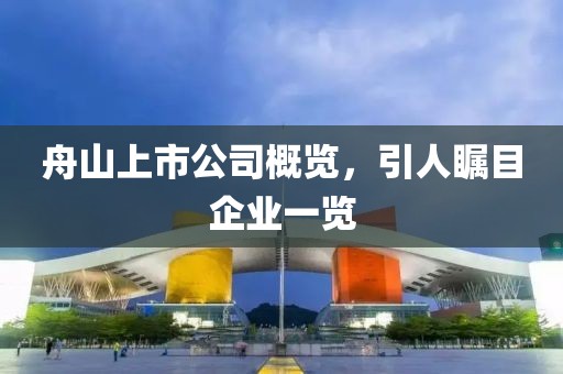 舟山上市公司概覽，引人矚目企業(yè)一覽