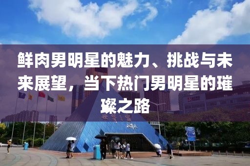 鮮肉男明星的魅力、挑戰(zhàn)與未來展望，當(dāng)下熱門男明星的璀璨之路