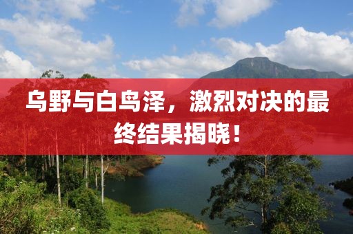 烏野與白鳥澤，激烈對決的最終結果揭曉！