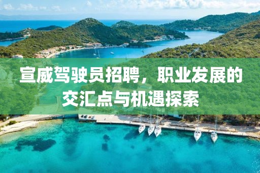 宣威駕駛員招聘，職業(yè)發(fā)展的交匯點與機遇探索