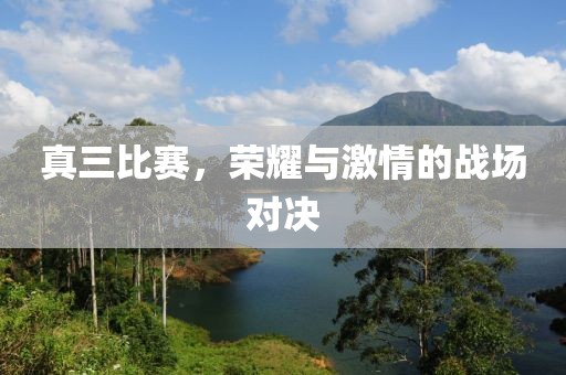 真三比賽，榮耀與激情的戰(zhàn)場(chǎng)對(duì)決