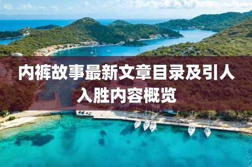 內(nèi)褲故事最新文章目錄及引人入勝內(nèi)容概覽