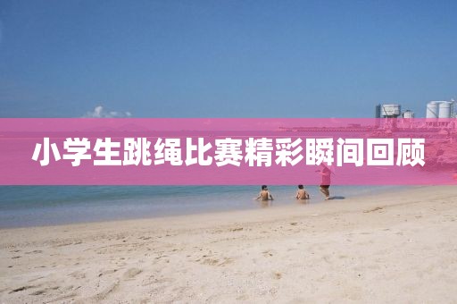 小學(xué)生跳繩比賽精彩瞬間回顧