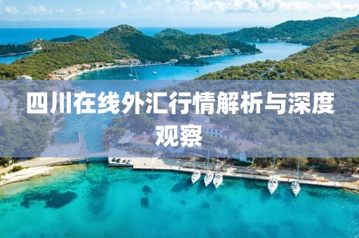 四川在線外匯行情解析與深度觀察
