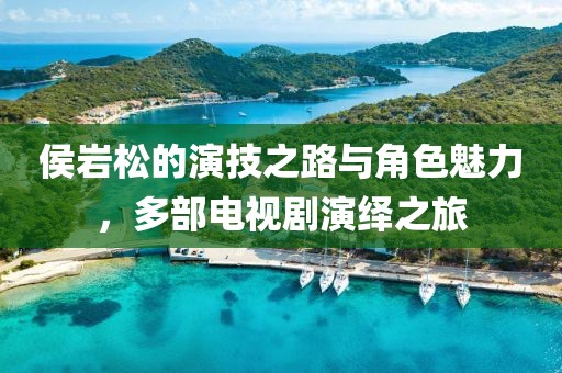 侯巖松的演技之路與角色魅力，多部電視劇演繹之旅