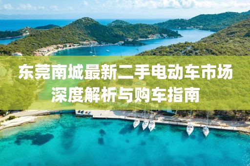 東莞南城最新二手電動車市場深度解析與購車指南