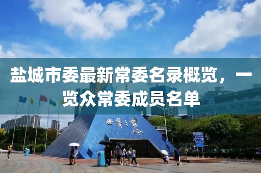 鹽城市委最新常委名錄概覽，一覽眾常委成員名單