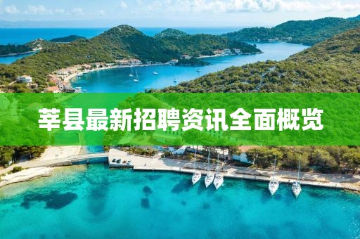 莘縣最新招聘資訊全面概覽
