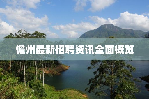 儋州最新招聘資訊全面概覽