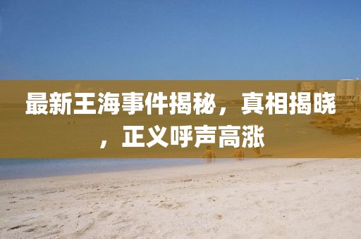 最新王海事件揭秘，真相揭曉，正義呼聲高漲