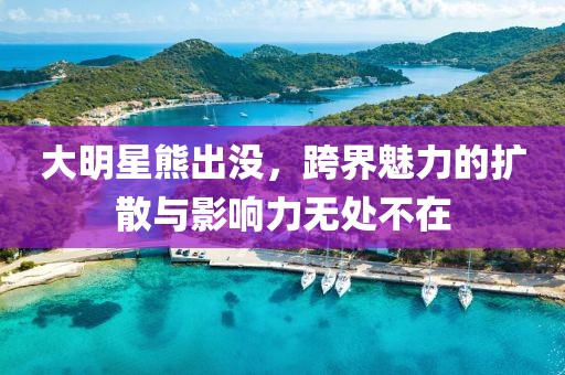 大明星熊出沒，跨界魅力的擴散與影響力無處不在