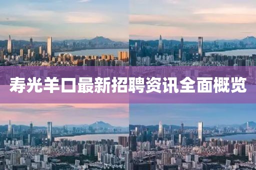 壽光羊口最新招聘資訊全面概覽
