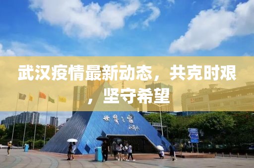 武漢疫情最新動(dòng)態(tài)，共克時(shí)艱，堅(jiān)守希望