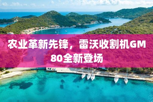 農(nóng)業(yè)革新先鋒，雷沃收割機(jī)GM80全新登場(chǎng)