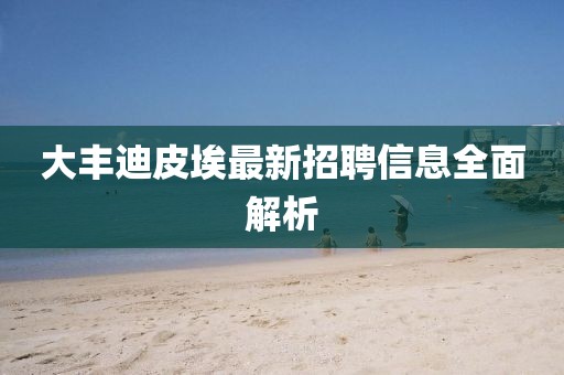 大豐迪皮埃最新招聘信息全面解析