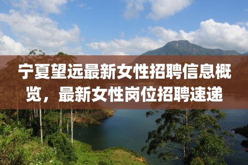 寧夏望遠(yuǎn)最新女性招聘信息概覽，最新女性崗位招聘速遞