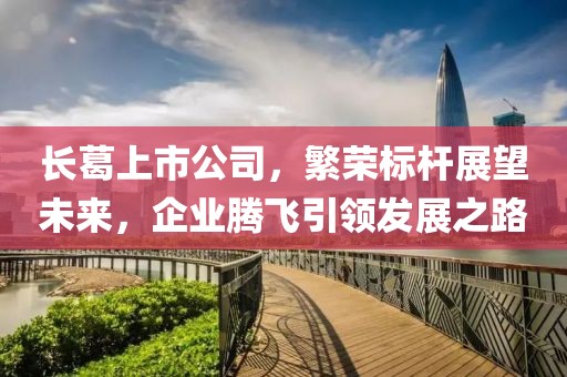 長葛上市公司，繁榮標(biāo)桿展望未來，企業(yè)騰飛引領(lǐng)發(fā)展之路