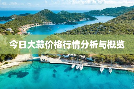 今日大蒜價格行情分析與概覽