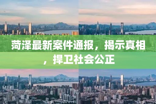 菏澤最新案件通報(bào)，揭示真相，捍衛(wèi)社會(huì)公正