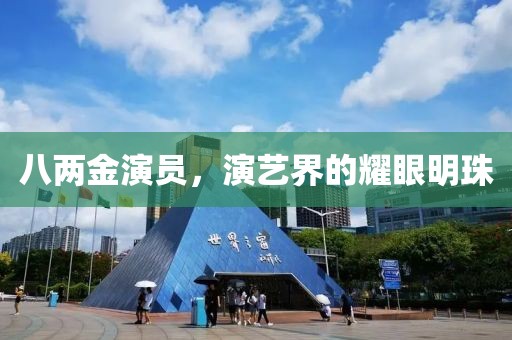 八兩金演員，演藝界的耀眼明珠