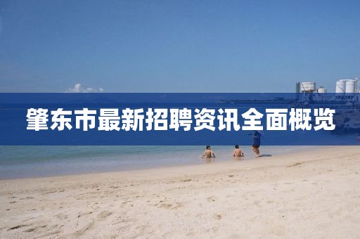 肇東市最新招聘資訊全面概覽