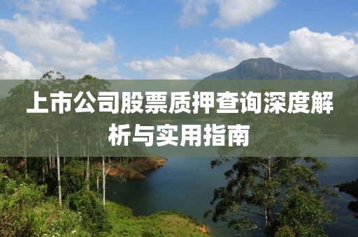 上市公司股票質(zhì)押查詢深度解析與實(shí)用指南