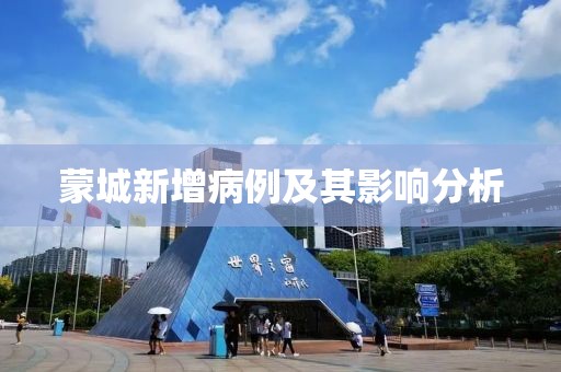 蒙城新增病例及其影響分析