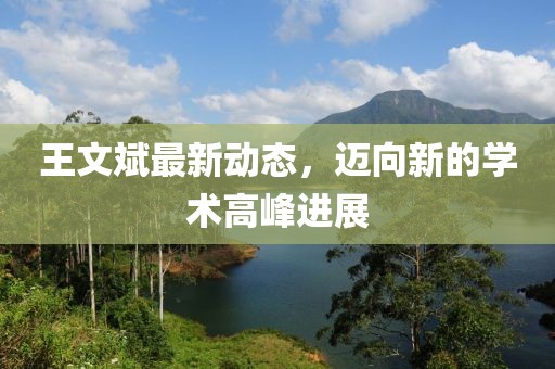 王文斌最新動態(tài)，邁向新的學(xué)術(shù)高峰進(jìn)展