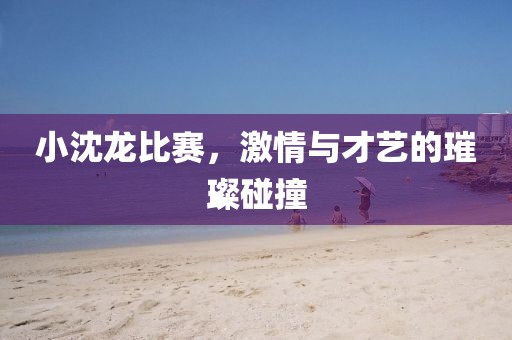 小沈龍比賽，激情與才藝的璀璨碰撞