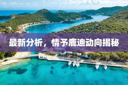 最新分析，情予鹿迪動向揭秘