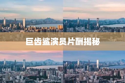 巨齒鯊演員片酬揭秘