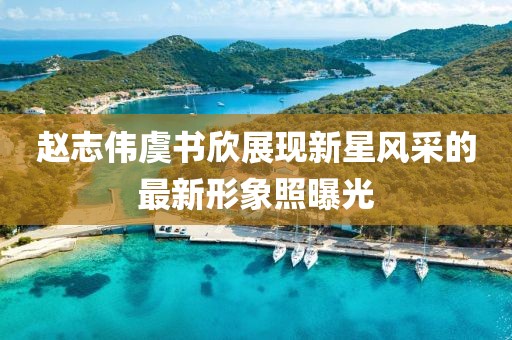 趙志偉虞書欣展現(xiàn)新星風采的最新形象照曝光