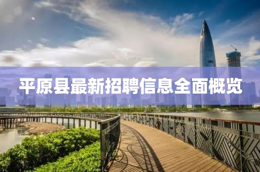 平原縣最新招聘信息全面概覽