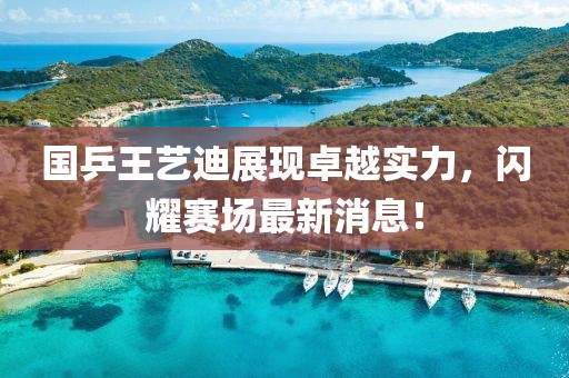 國乒王藝迪展現(xiàn)卓越實力，閃耀賽場最新消息！