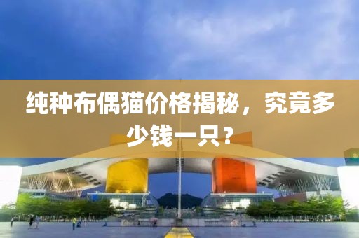 純種布偶貓價(jià)格揭秘，究竟多少錢一只？