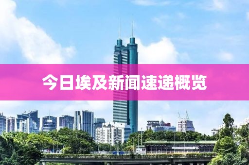 今日埃及新聞速遞概覽