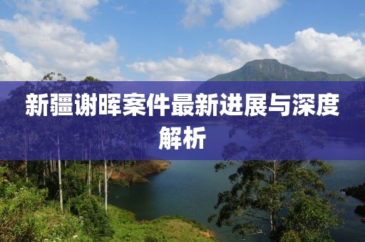 新疆謝暉案件最新進(jìn)展與深度解析