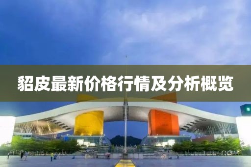 貂皮最新價格行情及分析概覽