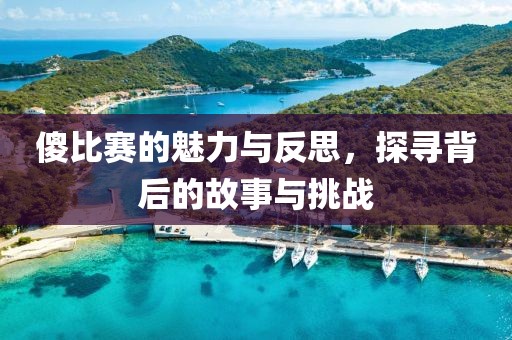 傻比賽的魅力與反思，探尋背后的故事與挑戰(zhàn)