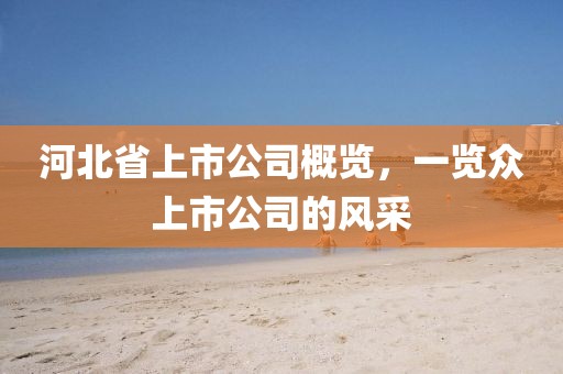 河北省上市公司概覽，一覽眾上市公司的風(fēng)采