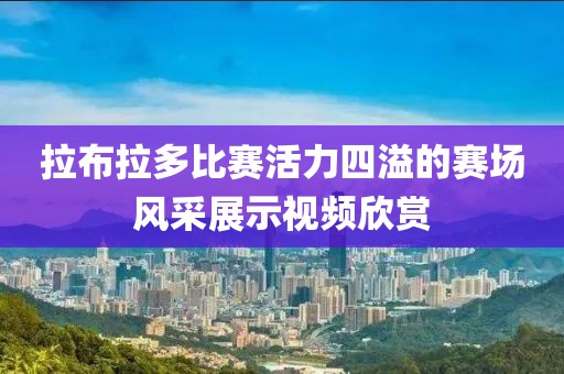 拉布拉多比賽活力四溢的賽場(chǎng)風(fēng)采展示視頻欣賞