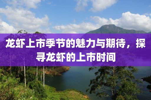 龍蝦上市季節(jié)的魅力與期待，探尋龍蝦的上市時(shí)間