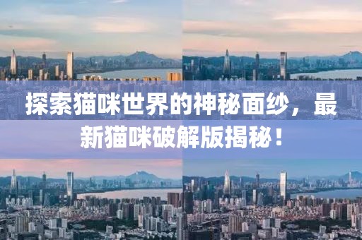 遺落的滿地記憶 第4頁