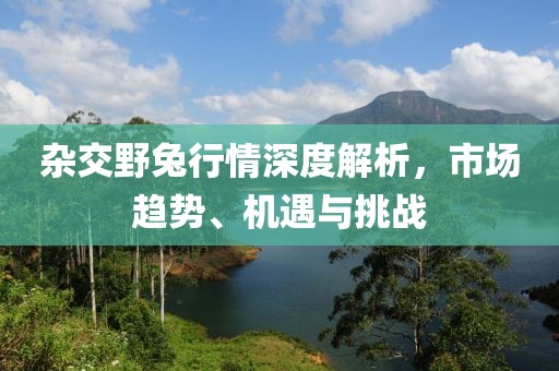 雜交野兔行情深度解析，市場趨勢、機遇與挑戰(zhàn)