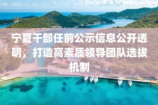 寧夏干部任前公示信息公開透明，打造高素質(zhì)領(lǐng)導(dǎo)團(tuán)隊(duì)選拔機(jī)制