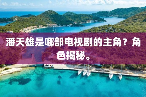 潘天雄是哪部電視劇的主角？角色揭秘。